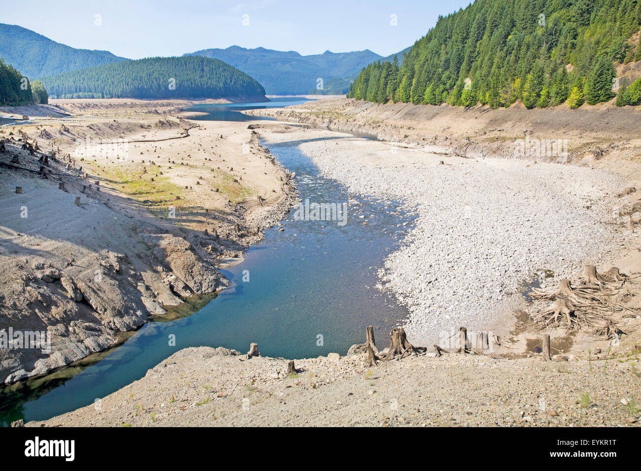 Schneemangel in den Cascade Mountains und allgemeine Trockenheit in der gesamten Region sind die Ursache für den dramatischen Rückgang der Wasserstände für viele Seen und Flüsse in der Amermican Pacific Northwest. Gezeigt, dass Detroit Lake, ein großes Freizeit-Reservoir östlich von Salem, Oregon.At dieser Zeit des Jahres hier ist, wäre normalerweise die Stümpfe von diesem alten Zedernwald Unterwasser. Detroit Lake Wasserstand ist mehr als 100 Fuß niedriger als normal. Stockfoto
