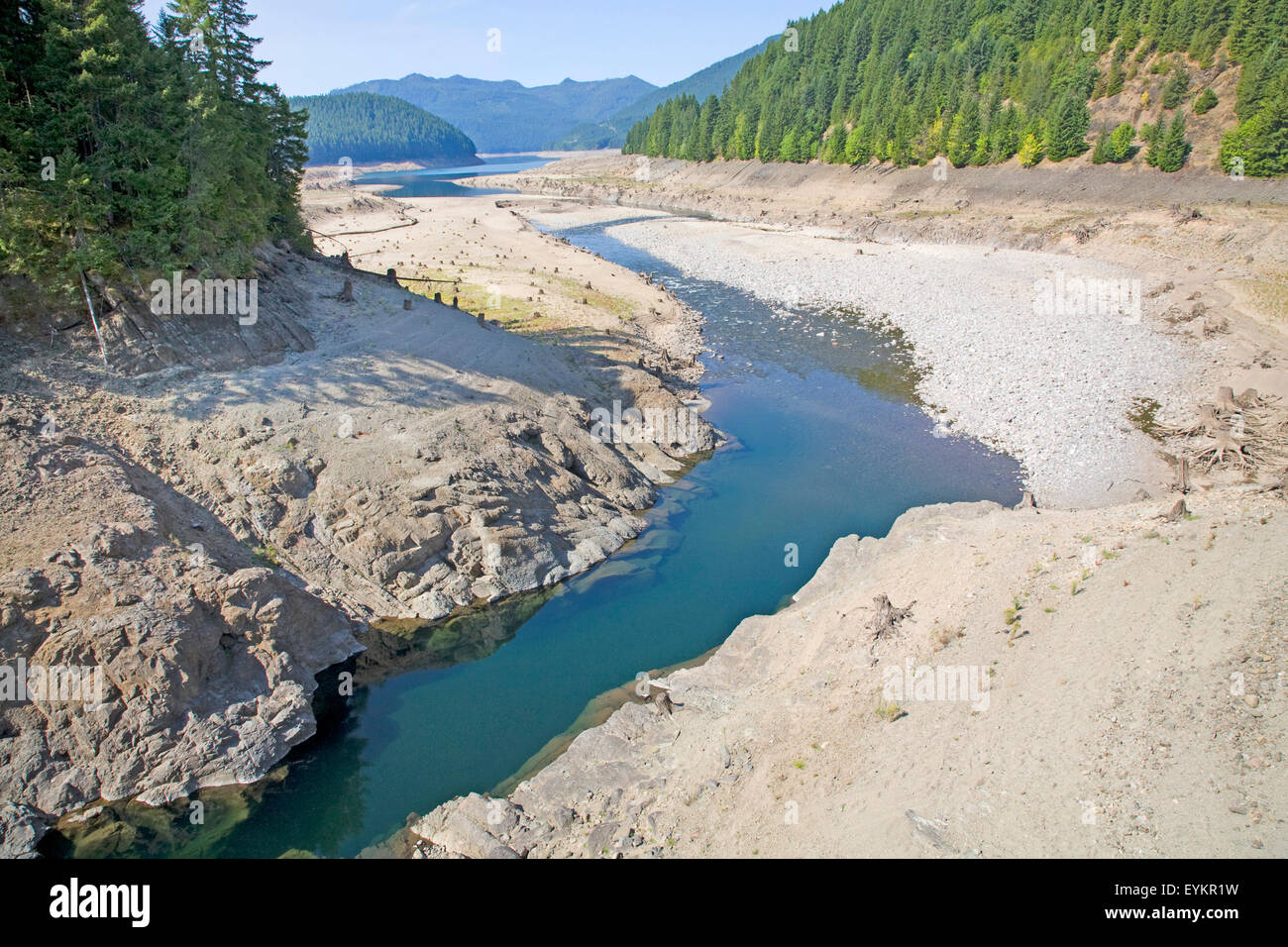 Schneemangel in den Cascade Mountains und allgemeine Trockenheit in der gesamten Region sind die Ursache für den dramatischen Rückgang der Wasserstände für viele Seen und Flüsse in der Amermican Pacific Northwest. Gezeigt, dass Detroit Lake, ein großes Freizeit-Reservoir östlich von Salem, Oregon.At dieser Zeit des Jahres hier ist, wäre normalerweise die Stümpfe von diesem alten Zedernwald Unterwasser. Detroit Lake Wasserstand ist mehr als 100 Fuß niedriger als normal. Stockfoto