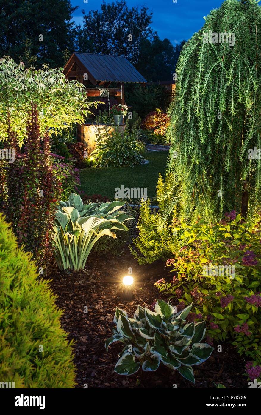 Garten-Beleuchtung. Beleuchteten Garten mit verschiedenen Pflanzen nachts.  Vertikale Closeup Foto Stockfotografie - Alamy
