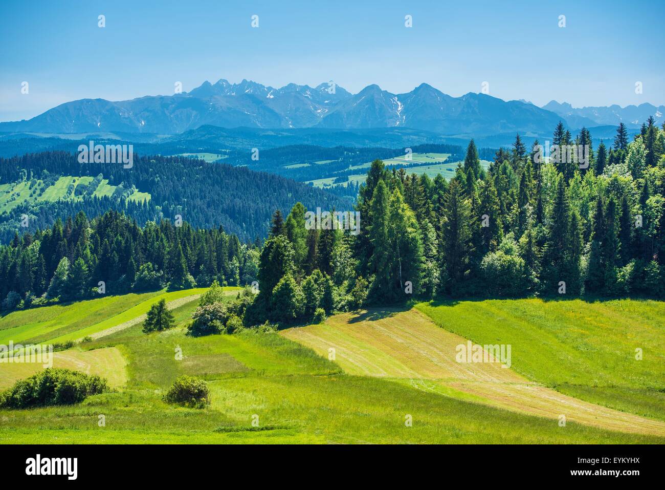 Malerische Tatra Berge Panorama In Czorsztyn genommen. Sommerlandschaft in Kleinpolen, Europa. Klarer blauer Himmel. Stockfoto