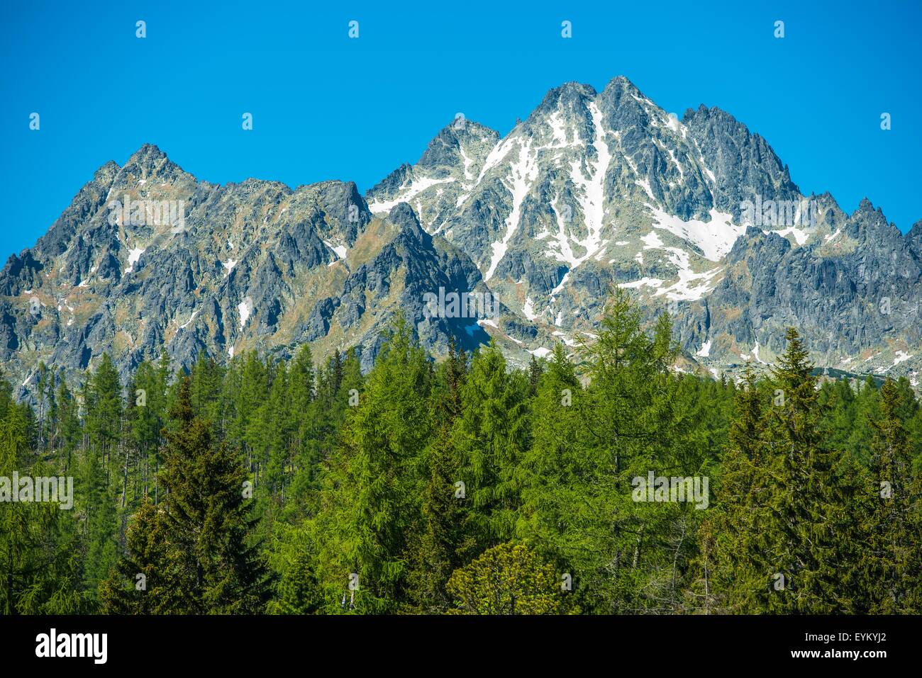 Slowakischen Tatra Gebirge Nahaufnahme. Sommer in den Bergen der Tatra. Slowakei, Europa. Stockfoto