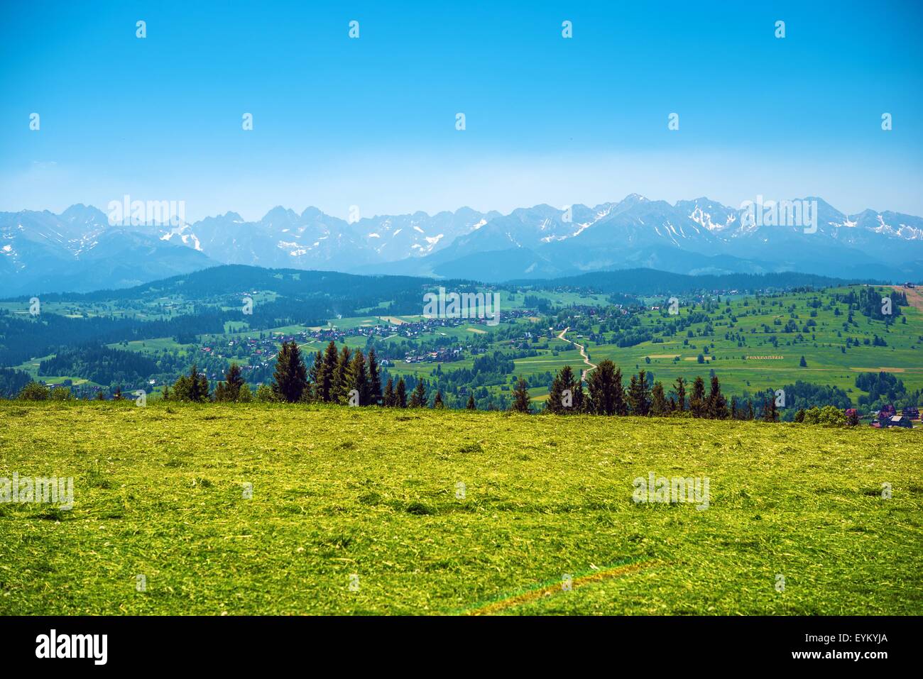 Tatry-Panorama. Panorama der hohen Tatra und Podhale weniger Polen Vysočina. Polen im Sommer, Europa. Stockfoto