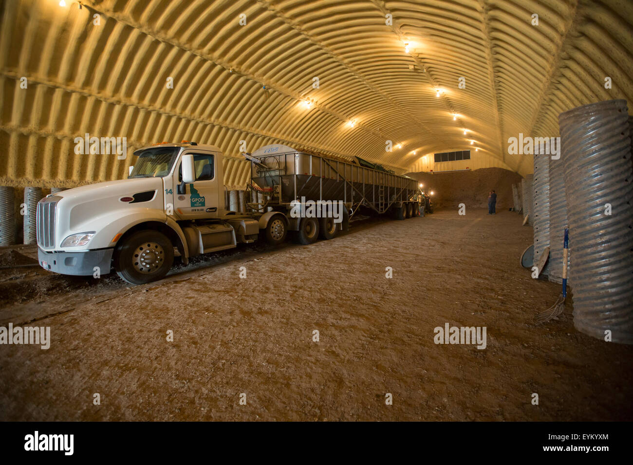 Shelley, Idaho - ein LKW ist mit den letzten eine Saison Kartoffeln aus einer Farm Kartoffel Keller geladen. Stockfoto