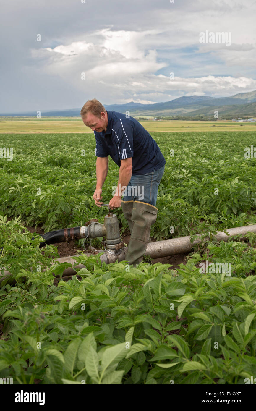 Driggs, Idaho - Wyatt Penfold passt Beregnungs-und Bewässerungstechnik auf seiner Farm, wo er Pflanzkartoffeln wächst. Stockfoto