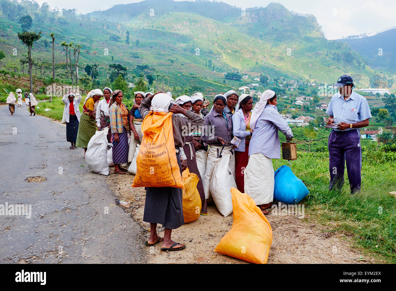 Sri Lanka, Ceylon, zentrale Provinz, Nuwara Eliya Teeplantagen im Hochland, Tamil-Frauen, die Teepflückerinnen warten, um ihre te Stockfoto