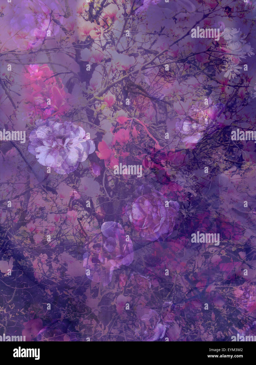 Komposition aus Blumen und Zweige, abstrakt, lila, Stockfoto