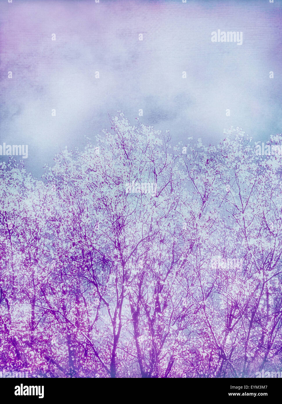 Komponieren, Bäume, geschichtet mit Textur und Farbe in violett und blau Stockfoto