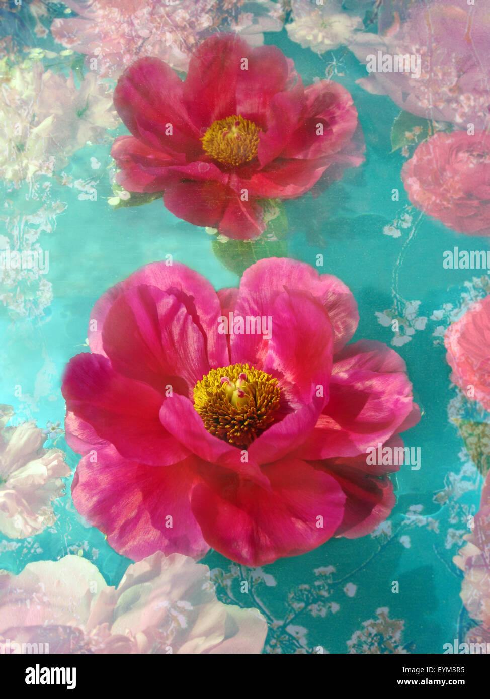 Komponieren mit rosa Blüten und vernal Zweige, Stockfoto