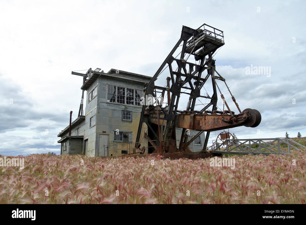 Goldbagger geschichte -Fotos und -Bildmaterial in hoher Auflösung – Alamy