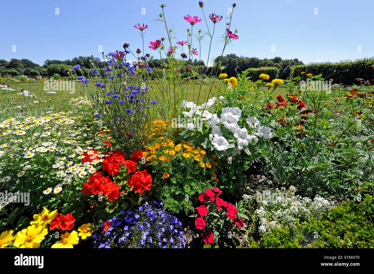 Üppige Blüte Rabatte von bunten Sommerblumen und verschiedenen Sträuchern, Stockfoto