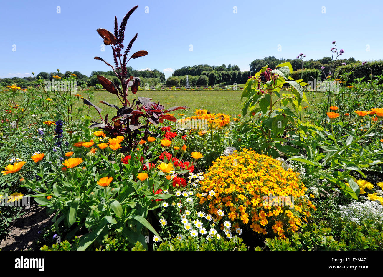 Üppige Blüte Rabatte von bunten Sommerblumen und verschiedenen Sträuchern, Stockfoto