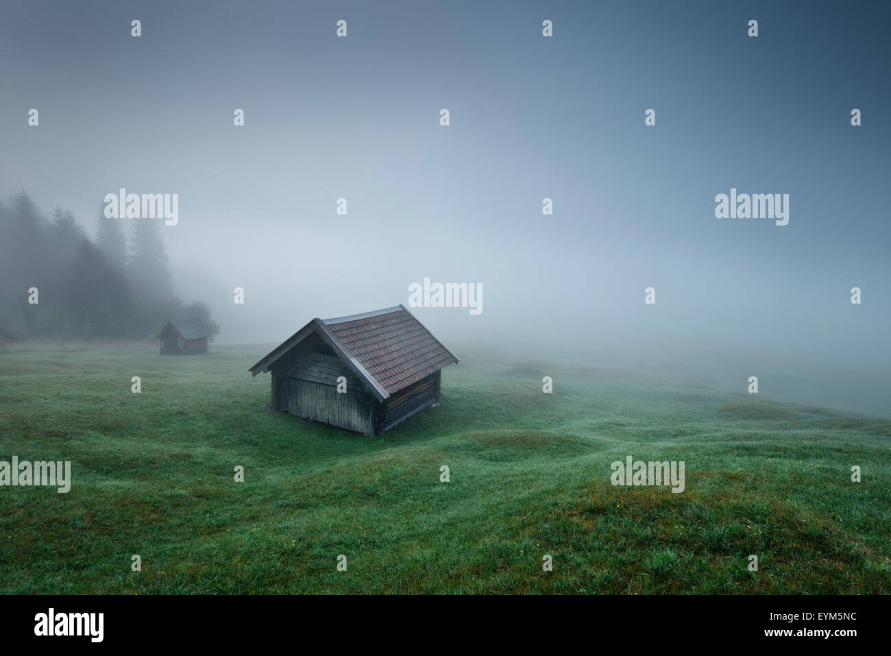 Hütte, Thriller, Alpen, Berge, Heimat, Nebel, Holz, Wiese, düster, dunkel, gruselig, geheimnisvoll, Stockfoto