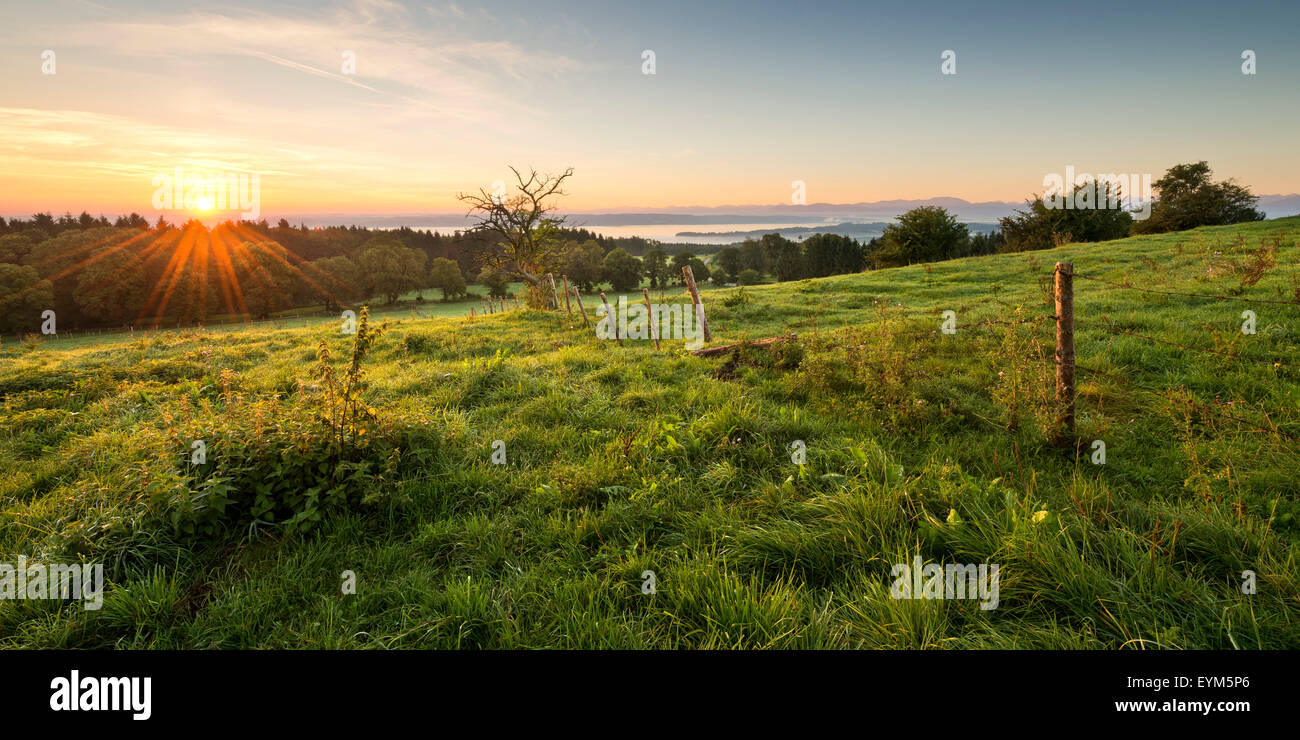 See Starnberger See, die Alpen, Wiese, Licht, Morgen, Stimmung, Baum, Zaun, anzeigen, Tutzing, Kirchturm, Nebel, Blumen, dagegen Stockfoto