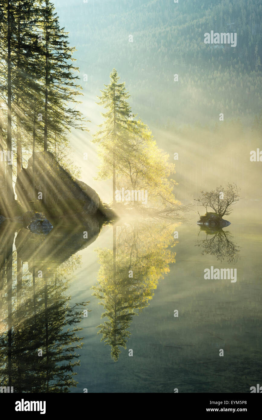 Hintersee, See, Wasser, Reflexion, Licht, Strahlen, Baum, Herbst, Nebel, Stimmung, Stockfoto