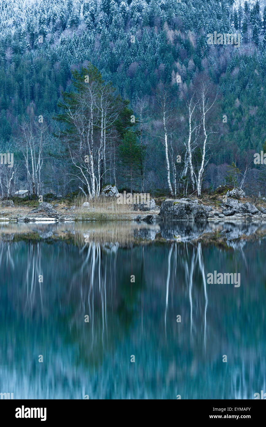 Winter, Bäume, See, Insel, Reflexion, Wasser, blau, Türkis, Stockfoto