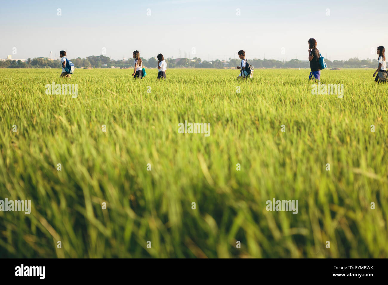 Gruppe der asiatischen Schulkinder zu Fuß durch ländliche Reisfelder am Morgen zur Schule gehen Stockfoto