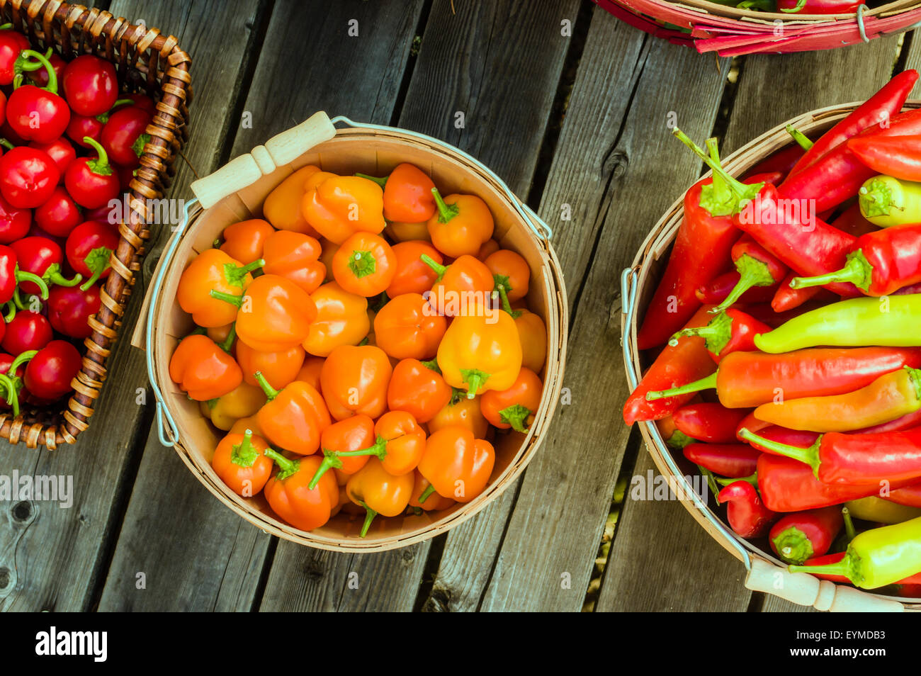 Orangen Peperoni in einem Korb Kommissionierung angezeigt Stockfoto