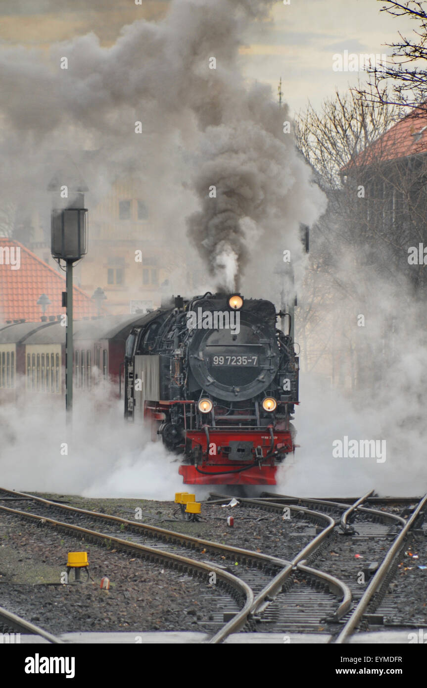Wernigerode, HSB, Bahnhof, Narrow gauge, Dampfmaschine, Brockenbahn Stockfoto