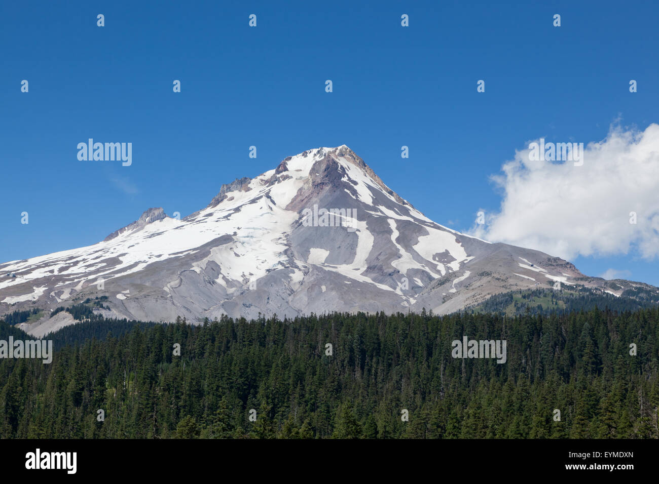 Die kargen Top Mount Hood in Oregon, die zum Teil noch mit Schnee bedeckt, im Sommer mit einem dichten grünen Wald unten. Stockfoto