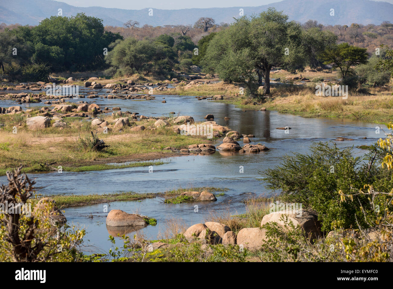 Tansania, Ruaha Nationalpark, Ruaha-Fluss Stockfoto