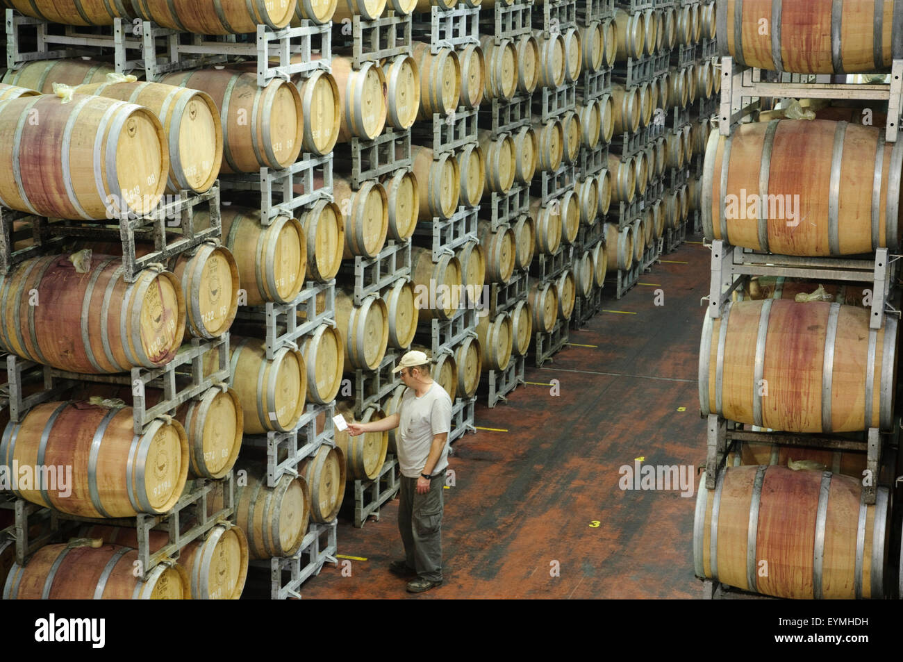 Weingut Golan Heights Winery, Wein Barrells, Qazrin, Golan-Höhen, Galiläa, Israel Stockfoto