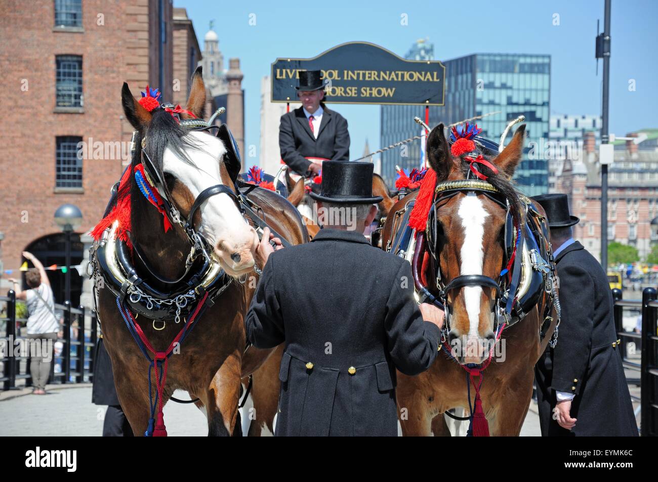 Shire-Pferde und Wagen, die Förderung von Liverpool International Horse Show von Kings Dock, Liverpool, Merseyside, England, UK. Stockfoto