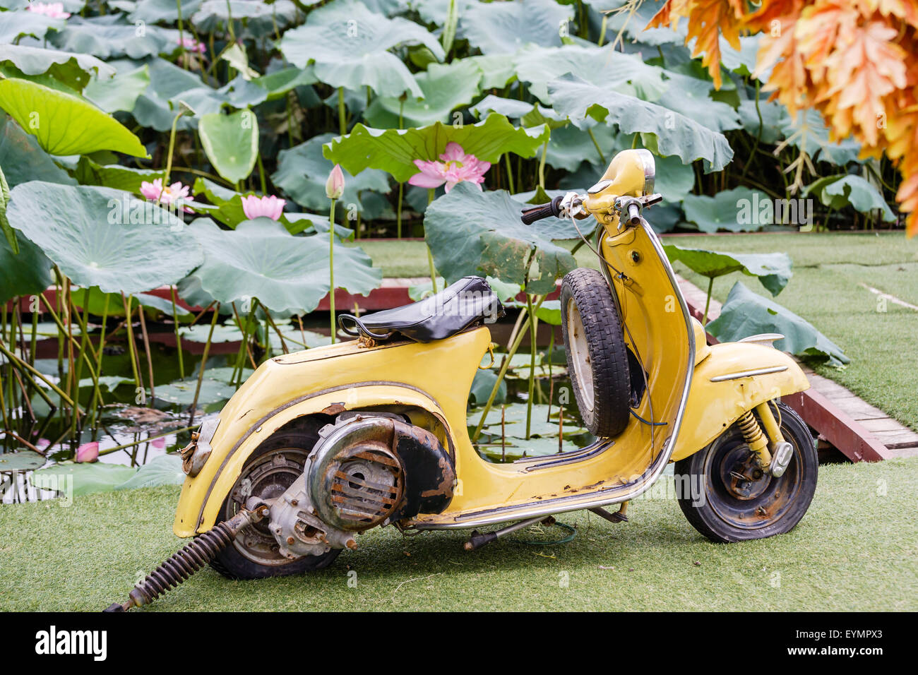 Bar-Garten in der Nähe von West-See in Hanoi, Vietnam am 25. Juli 2015 Stockfoto