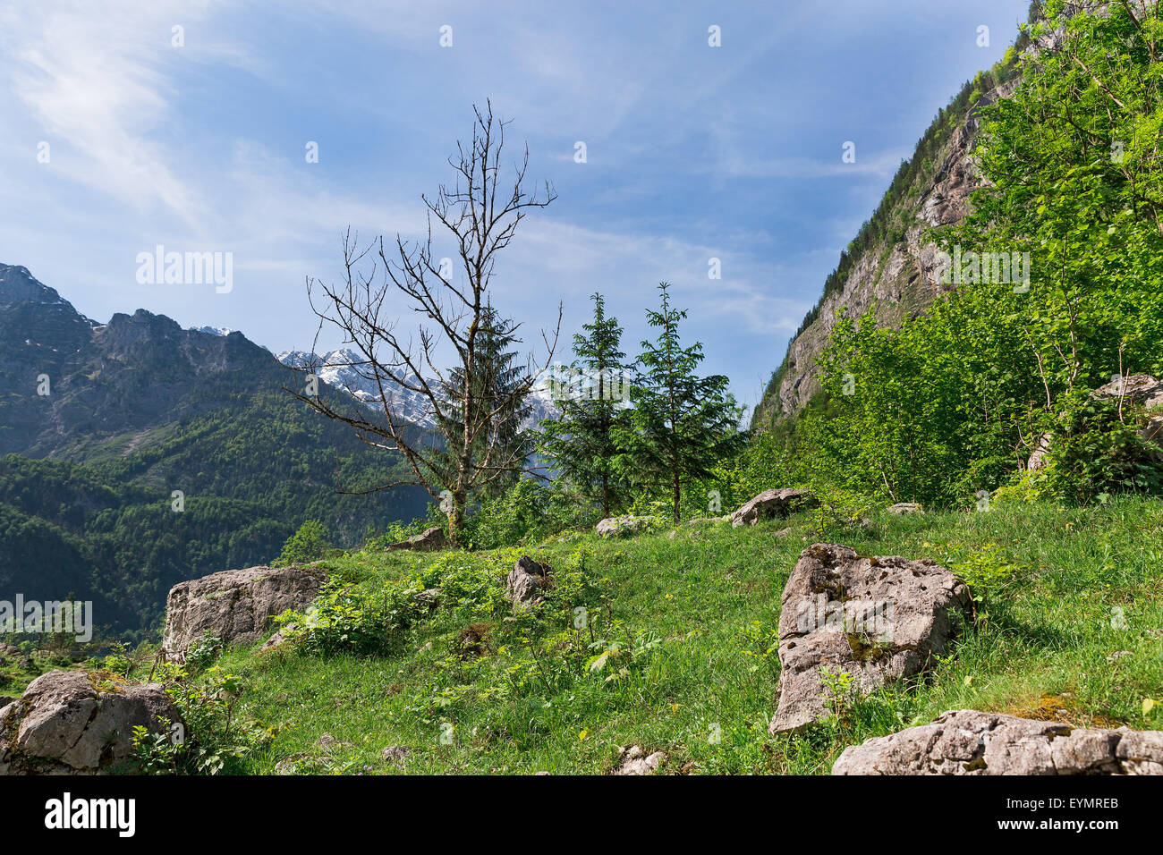 schöne Berge mit schneebedeckten Gipfeln in Österreich Stockfoto