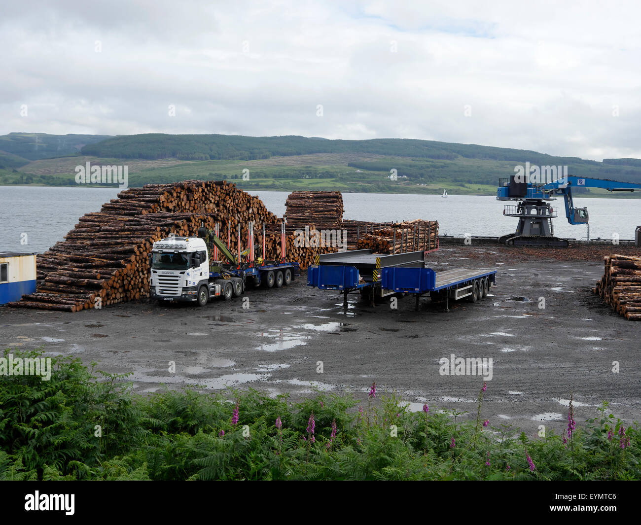 Holz im Hafen von Isle of Mull, Schottland, Juli 2015 Stockfoto