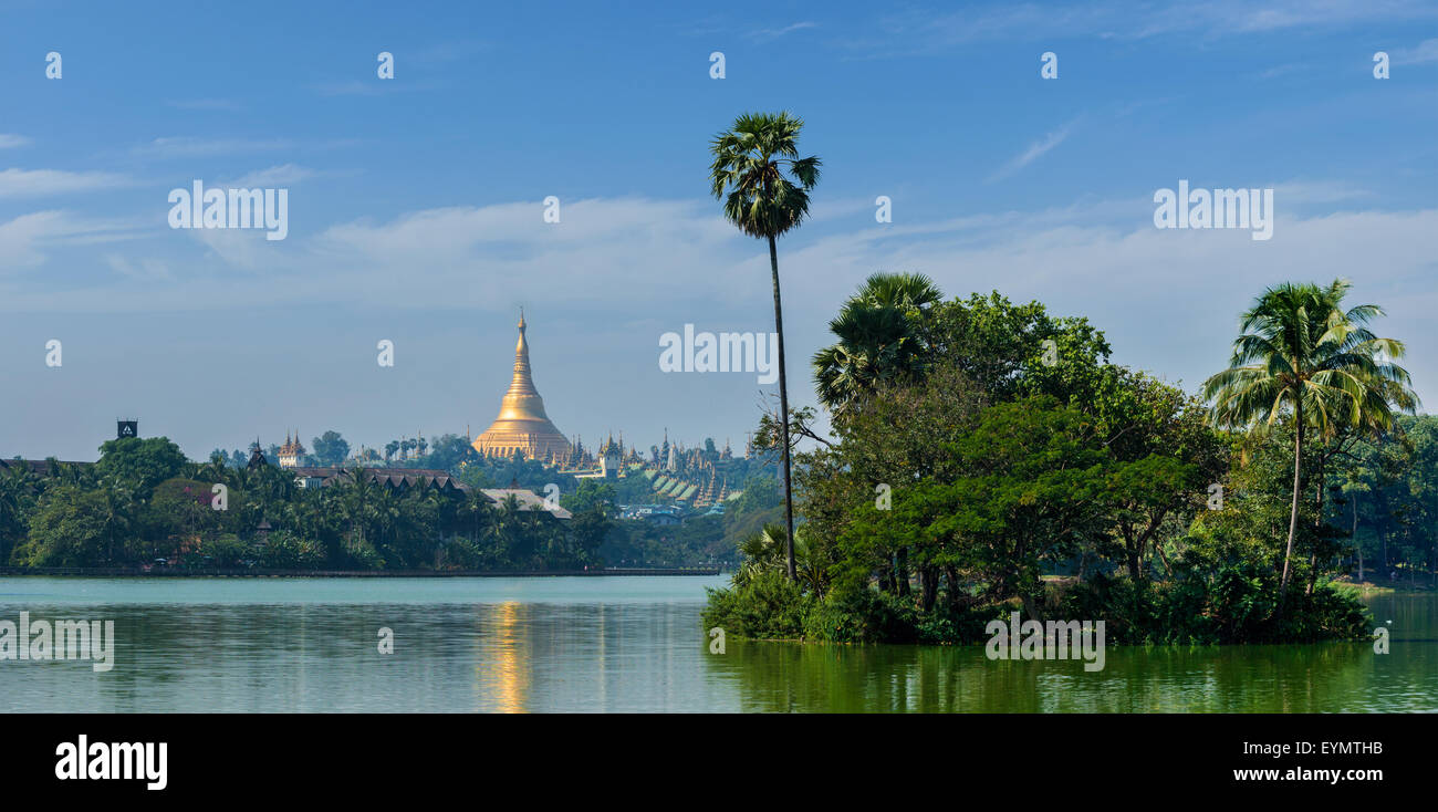 Panorama der Shwedagon-Pagode über Kandawgyi See in Yangon, Birma-Myanmar Stockfoto