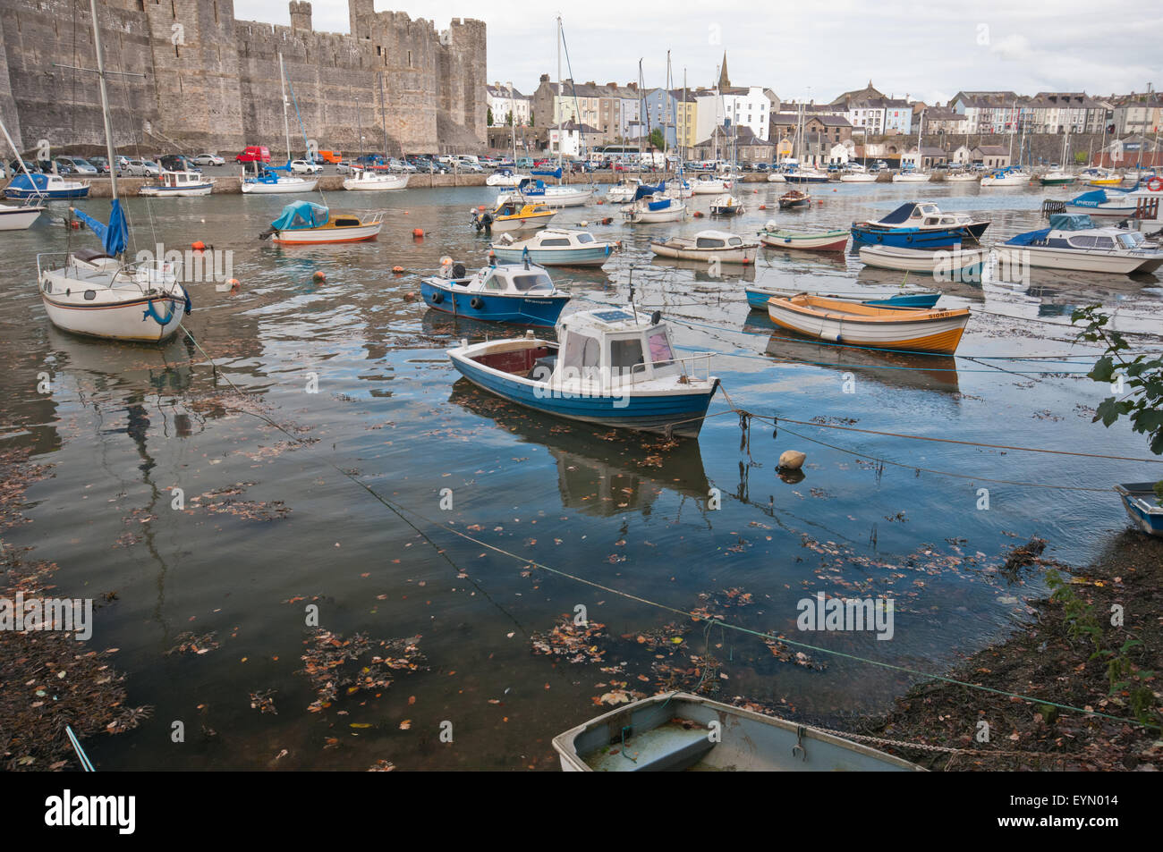 Boote vor Anker in Caernarfon-Mündung gegenüber Caernarfon Castle. Stockfoto