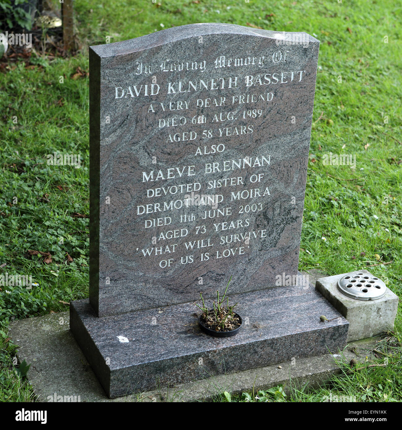 Das Grab von Maeve Brennan in Cottingham städtischen Friedhof in Hull, England. Stockfoto