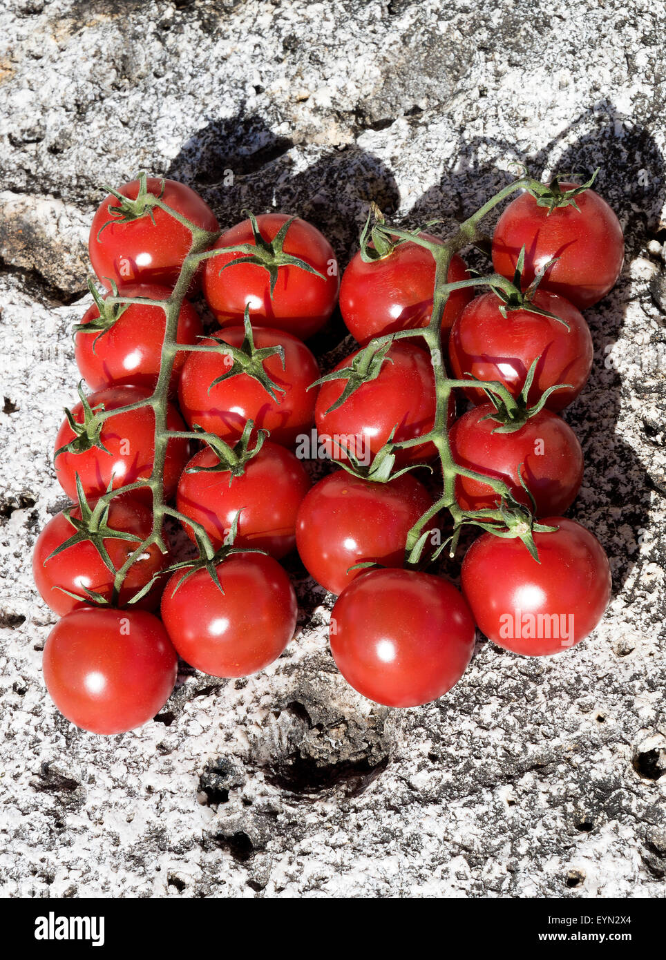 Reife rote Tomaten auf der Rebe auf ein alter Mühlstein auf ein Ferienhaus in Riepeyroux-Midi-Pyrenäen-Frankreich Stockfoto