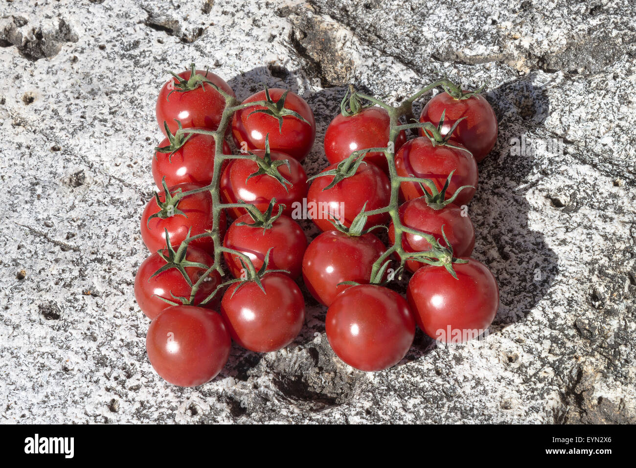 Reife rote Tomaten auf der Rebe auf ein alter Mühlstein auf ein Ferienhaus in Riepeyroux-Midi-Pyrenäen-Frankreich Stockfoto