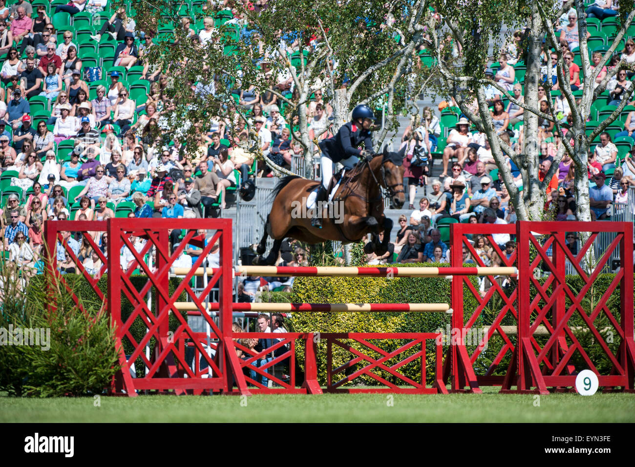 31. Juli 2015, Hickstead, England. Die Longines Royal International Horse Show. The Furusiyya FEI Nations Cup™ von Großbritannien präsentiert von Longines. Bildnachweis: Stephen Bartholomäus/Alamy Live-Nachrichten Stockfoto