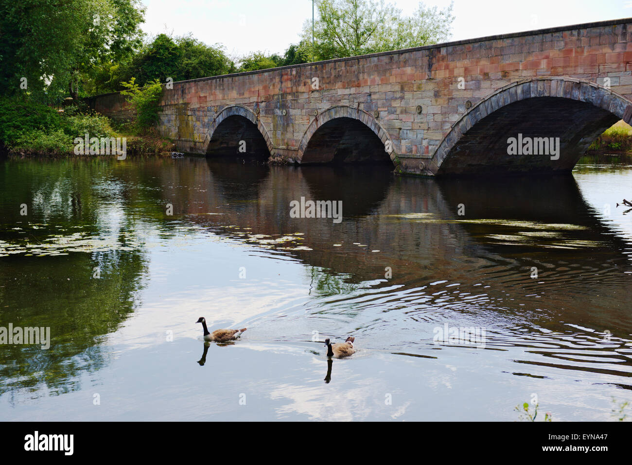 Bogenbrücke über den Fluss Anker in Tamworth, Staffordshire Stockfoto