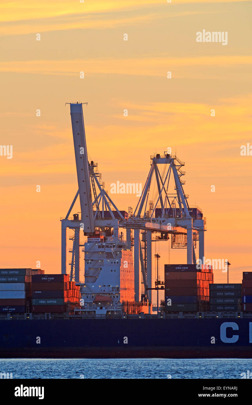Container-Krane Atsunset, Deltaport Container Terminal, Roberts Bank, Britisch-Kolumbien Stockfoto