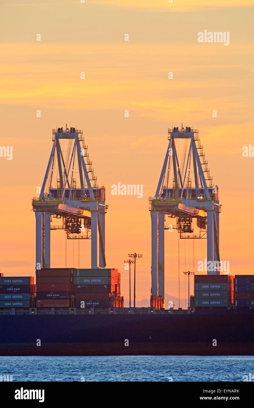 Container-Krane Atsunset, Deltaport Container Terminal, Roberts Bank, Britisch-Kolumbien Stockfoto