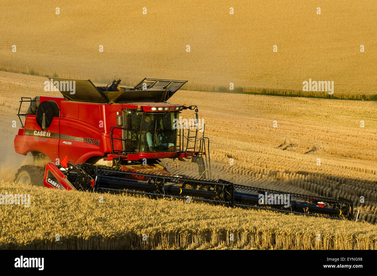 Case Mähdrescher ernten Getreide auf den Hügeln der Palouse Region Washington Stockfoto