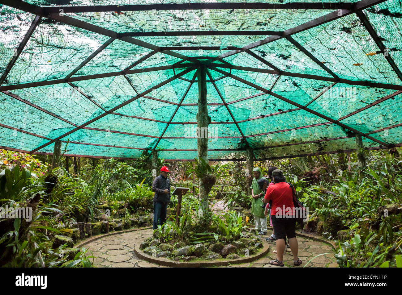 Besucher, die sich unter einem Schattennetz am Mount Kinabalu Botanical Garden im Kinabalu Park, Ranau, Sabah, Malaysia, Vergnügen. Stockfoto