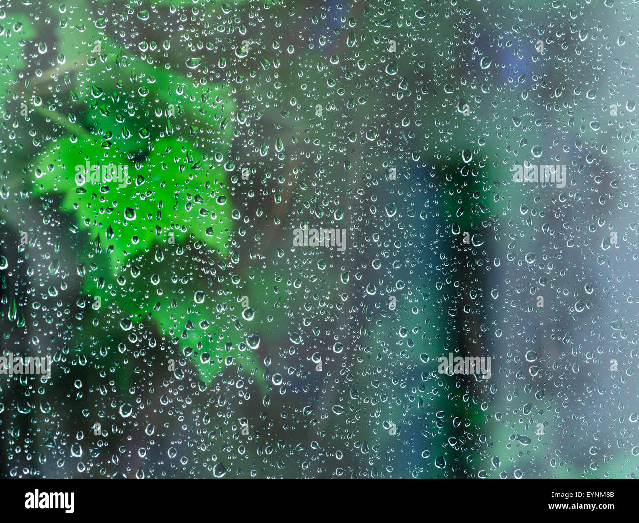 dunkelblauen Hintergrund von Regentropfen auf Fensterglas bei Nacht regen Stockfoto