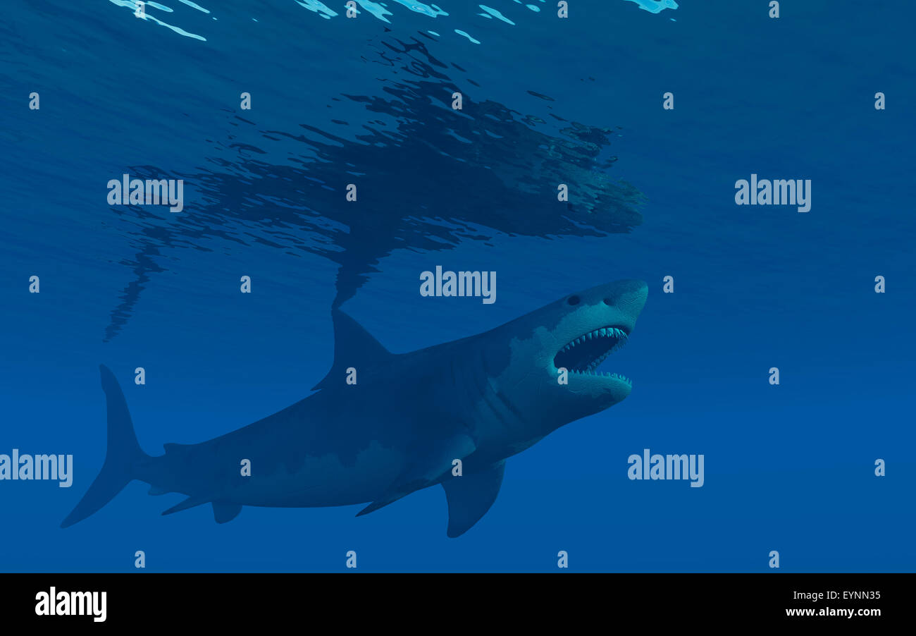 Ein Riesiger Megladon Hai Stockfotografie Alamy