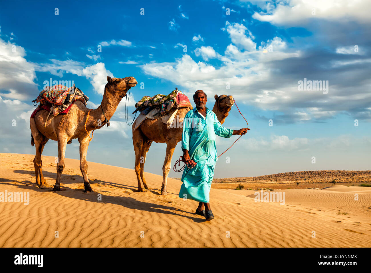 Karawanenführer Kamel-Treiber mit Kamelen in die Dünen der Wüste Thar Stockfoto