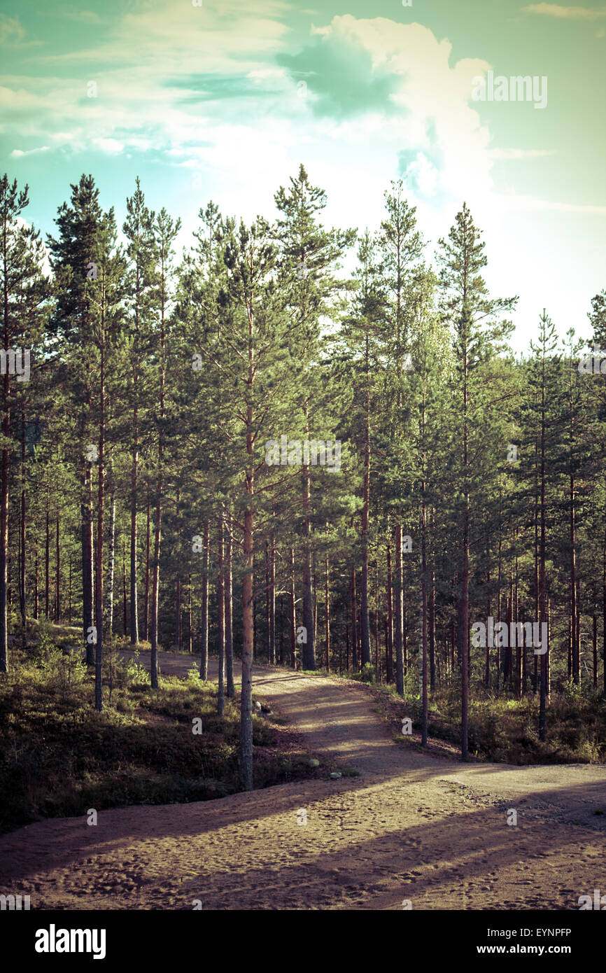 Vintage getönten Bild des Waldes mit Straße in Ost-Finnland Stockfoto