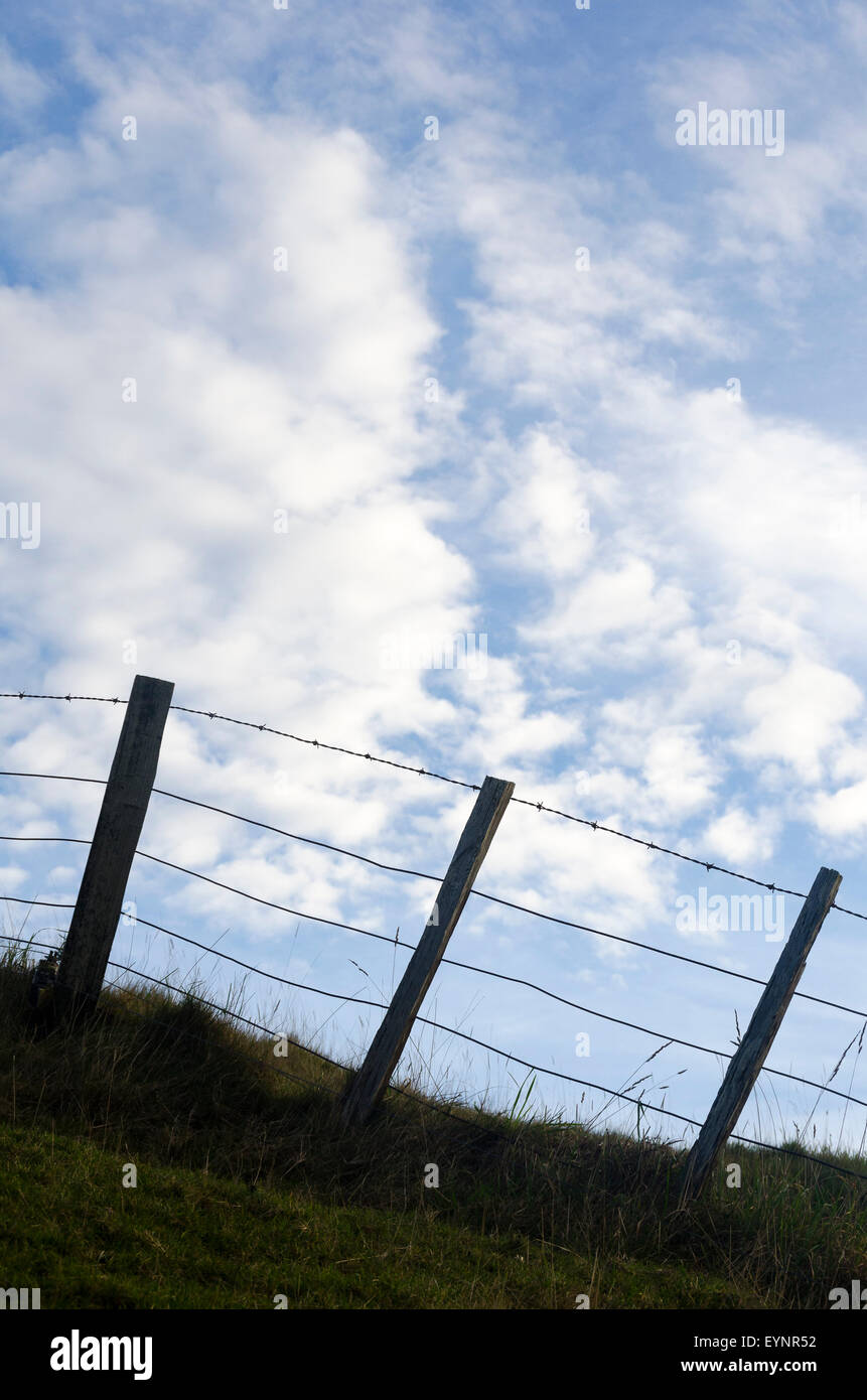 Bauernhof Zaun, Glenburn, Wairarapa, Nordinsel, Neuseeland Stockfoto