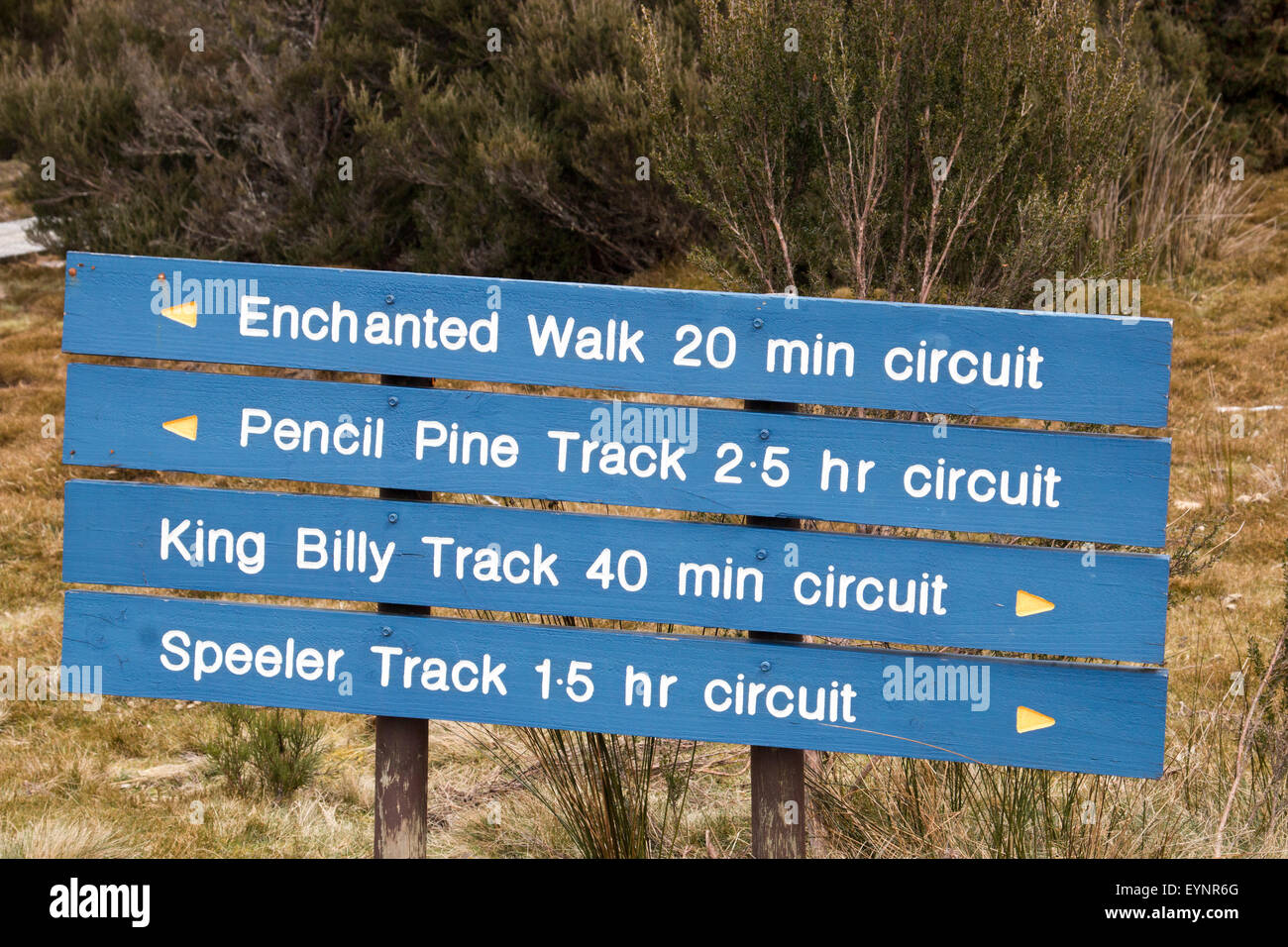 Wegweiser zu lokalen Besonderheiten und Spaziergänge in den Cradle Mountain Nationalpark, Tasmanien, Australien Stockfoto