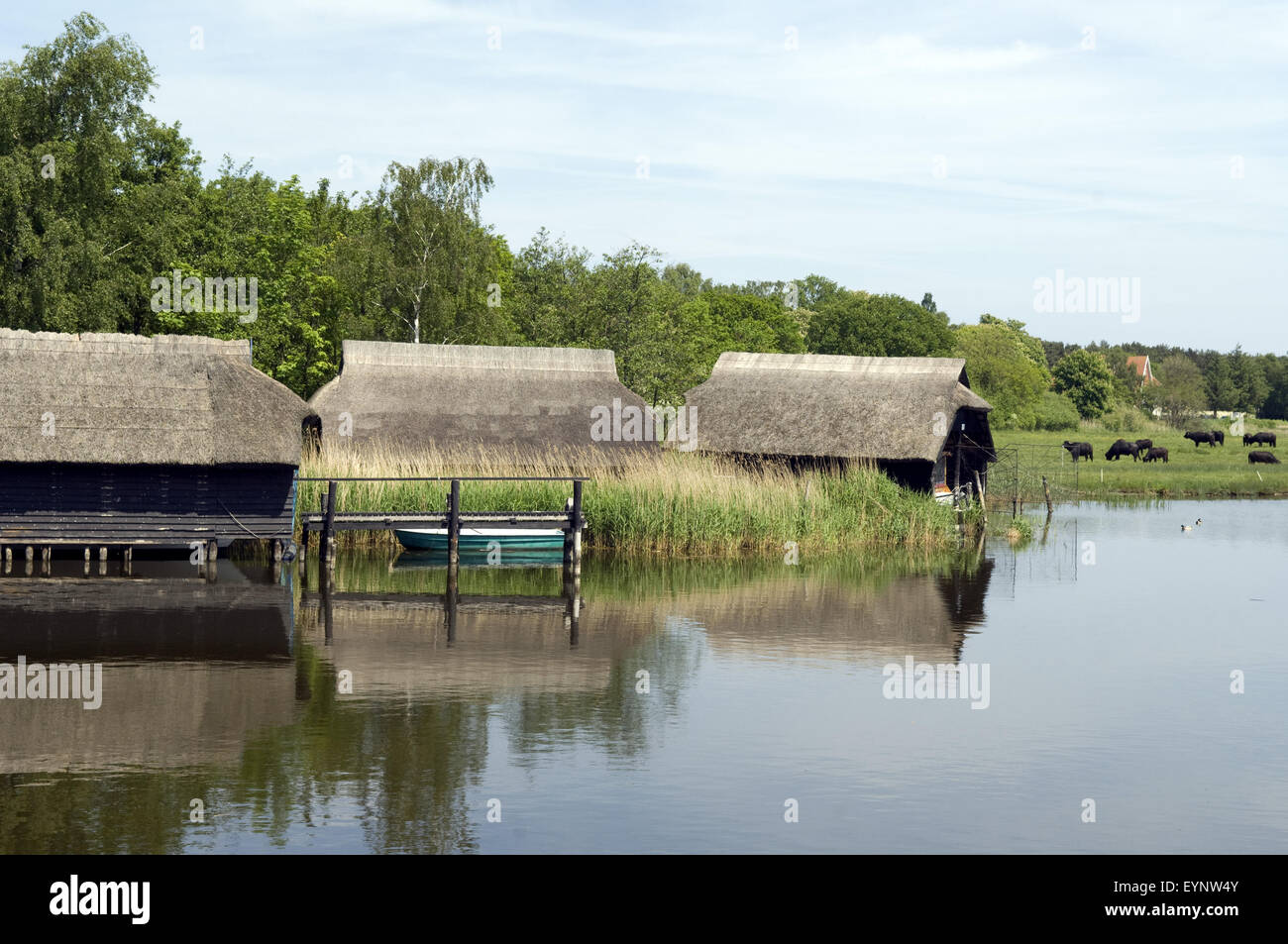 Bootshaeuser, Vorpommersche Boddenlandschaft, Prerow, Reetdach, Reetdaecher, Basel-Landschaft Stockfoto