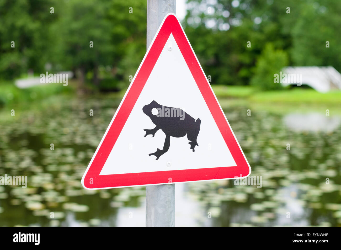 Verkehrszeichen besucht für Frosch Migration, Teich auf Hintergrund Stockfoto