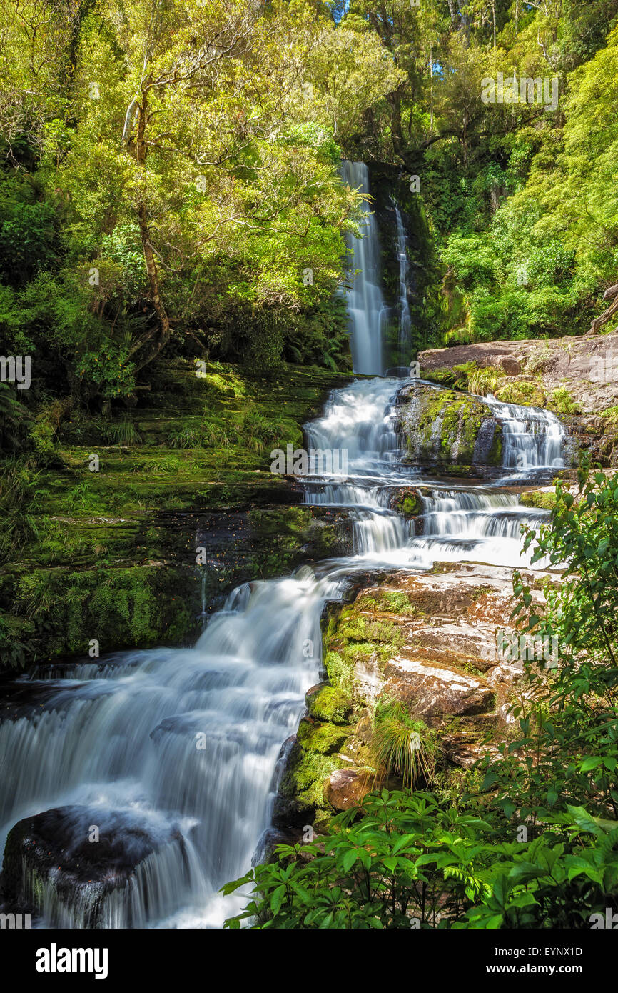 McLean Falls, Catlins, Südinsel, Neuseeland Stockfoto
