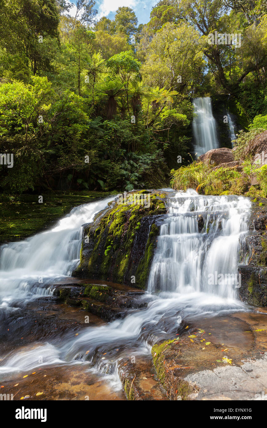 McLean Falls, Catlins, Südinsel, Neuseeland Stockfoto